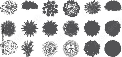 Collection of Top-Down Silhouettes of Various Trees and Bushes