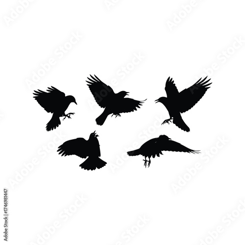Dynamic flock of crows silhouettes flying in open space vector
