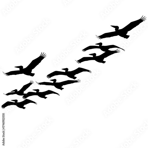 Silhouettes of pelicans flying in formation across the sky.