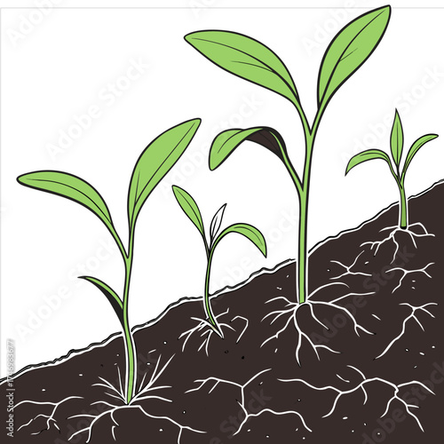 Young Green Plants Sprouting from Dark Soil