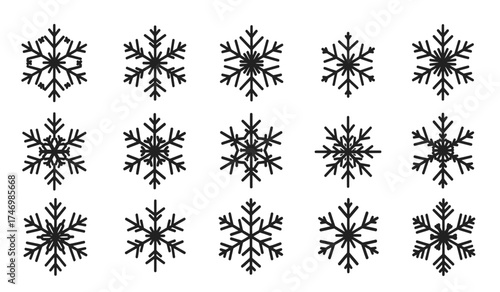 Collection of twelve unique intricately detailed snowflake designs ideal for winter holiday decorations festive celebrations and seasonal graphic elements isolated on white background