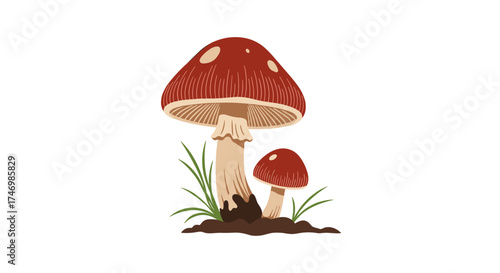 Two red toadstools growing in the soil with green grass around them.