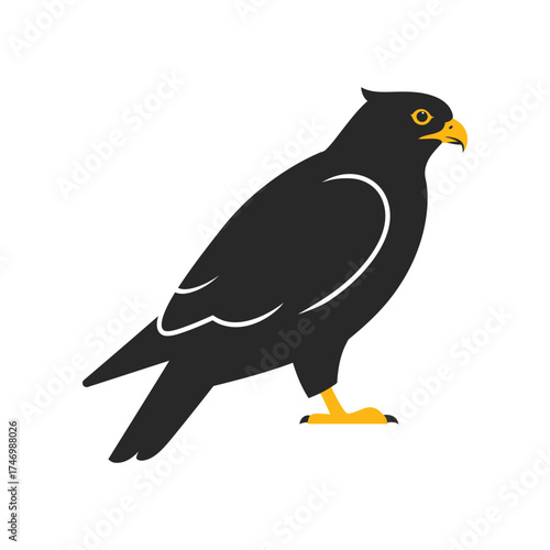 A stylized illustration of a black bird with yellow beak and feet standing on a white background