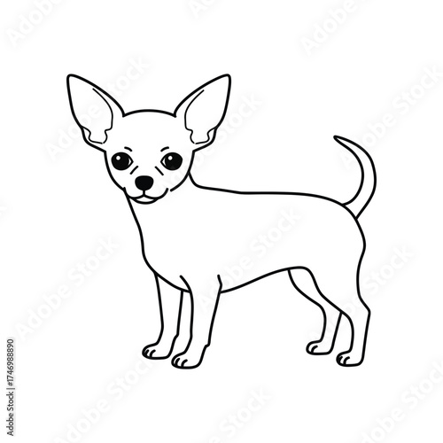 Simple hand drawn black and white line art sketch of a small standing chihuahua dog with large ears and a curled tail on a white background