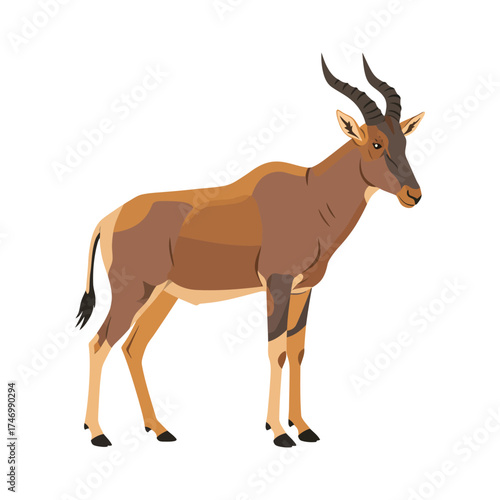 A majestic brown hartebeest antelope with distinctive curved horns stands alertly on a white background in a realistic illustration