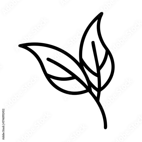 black and white flower