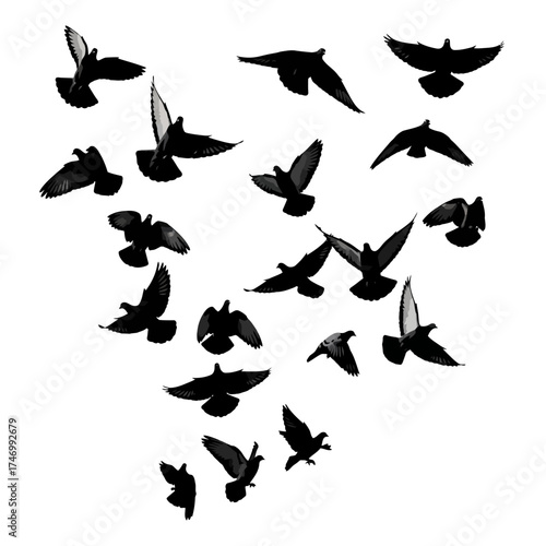 A dynamic flock of black bird silhouettes in various flight poses.
