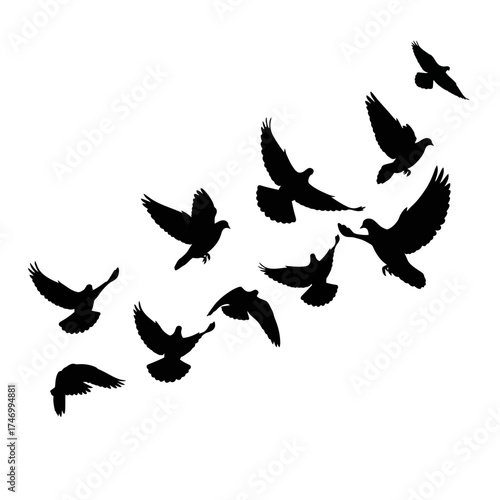 A flock of birds flying in silhouette against a white background.