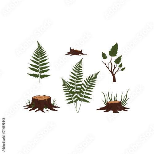 Collection of forest elements including ferns tree stumps and a sapling isolated on a white background for design