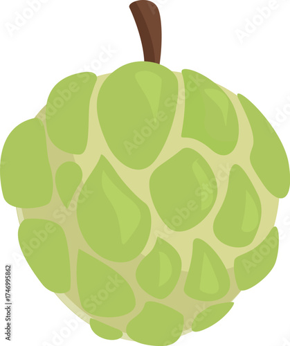 Ripe sugar apple with visible segments and stem, isolated on white background