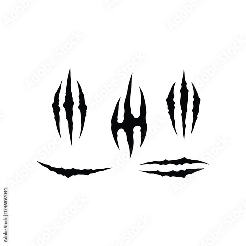Collection of three distinct black claw marks and two scratch marks on a white background representing a wild animal attack or damage