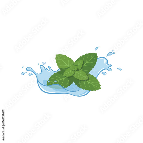 Fresh green mint leaves splashing into cool refreshing water with droplets and waves on a white background