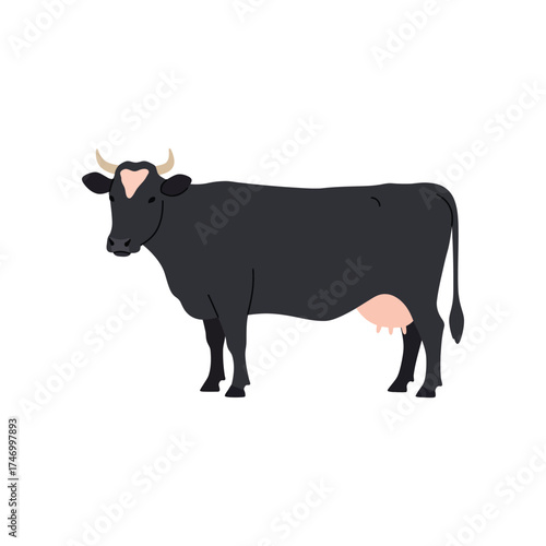 A realistic illustration of a black dairy cow with pink udder standing on a white background
