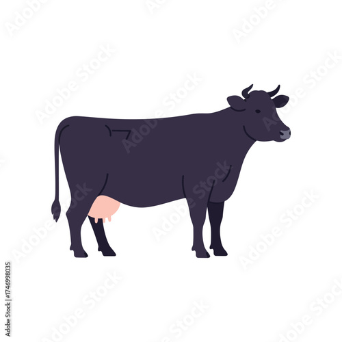 A dark colored dairy cow with pink udder stands facing left on a white background illustrating farm animals and agriculture