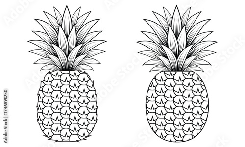 Set of Pineapple Outlines for Coloring Book - Vector Line Art Collection