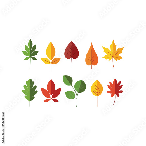 Collection of diverse autumn leaves in various shapes and vibrant colors isolated on a white background