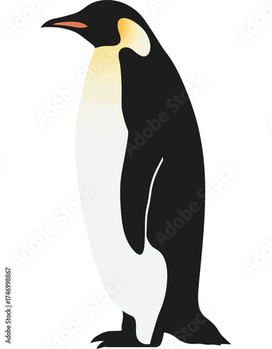 A full body illustration of a solitary emperor penguin standing upright on a pure white background showcasing its distinctive black and white plumage and yellow ear patches