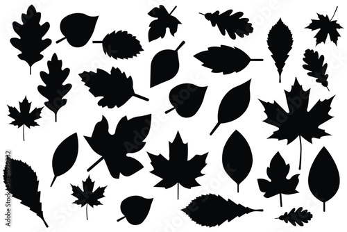 Set of silhouettes of leaves of different colors. autumn leaves in warm colors. Orange fall colorful leaves flying falling effect. autumn background. Bright and simple autumn leaves in warm colors. 