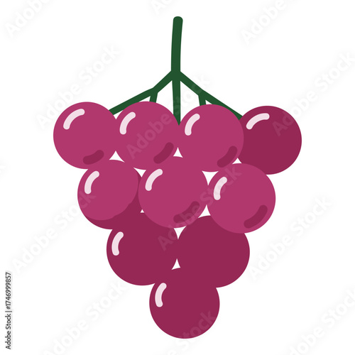 A simple illustration of a ripe bunch of deep red grapes hanging from a green stem against a white background perfect for healthy eating concepts