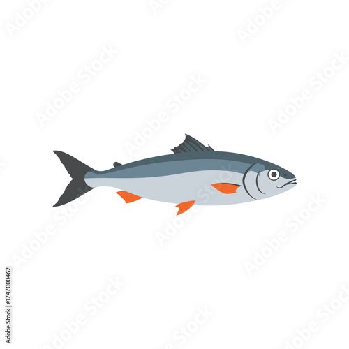 Stylized illustration of a single silver and blue fish with orange fins swimming horizontally against a white background
