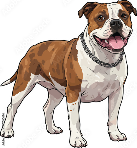 American Bulldog Vector dog Breeds Illustrations white color background