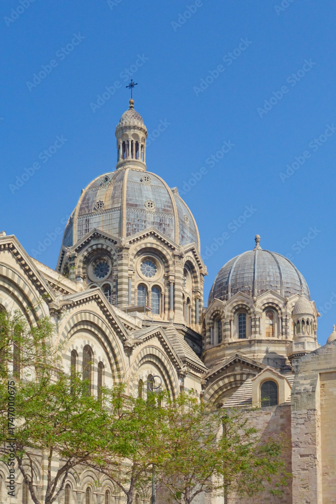 Obraz premium Summertime Greenery Among the Cathedral la Major in Marseille 