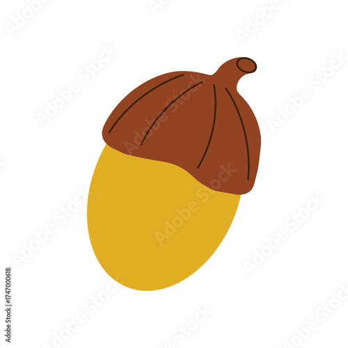 vector illustration of an acorn