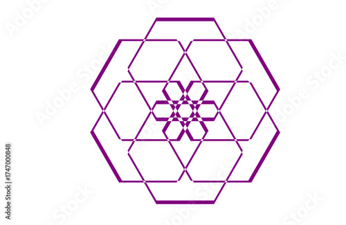 Geometric purple hexagon floral vector, modern abstract symmetry design with minimal lines, stylish centerpiece motif for decor, backgrounds, branding, textiles, digital, web, prints,  and elegant art