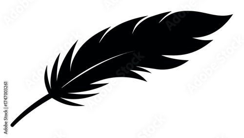 Elegant black feather pattern on white background