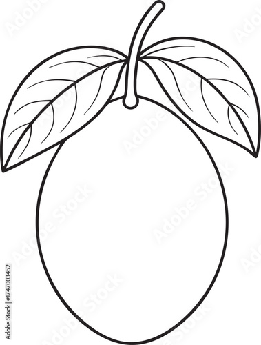 Simple black and white outline drawing of fresh miracle citrus fruit with leaves ideal for coloring and design work