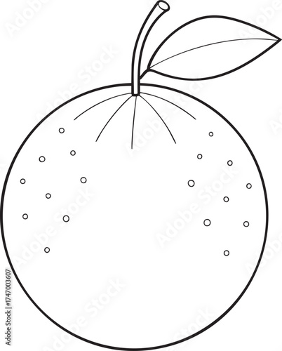 Simple outline drawing of fresh orange with leaf and stem minimal fruit artwork ideal for coloring and creative design