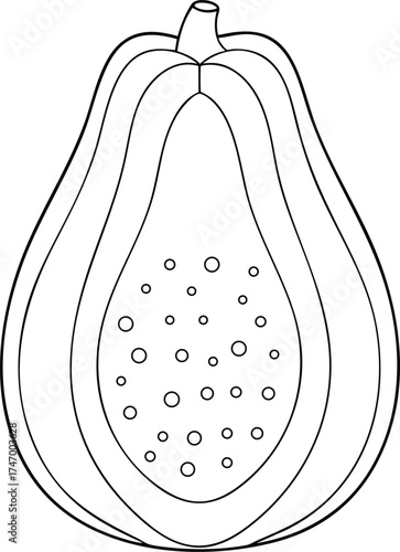Fresh papaya fruit outline drawing healthy tropical food ingredient sketch ideal for culinary and educational design