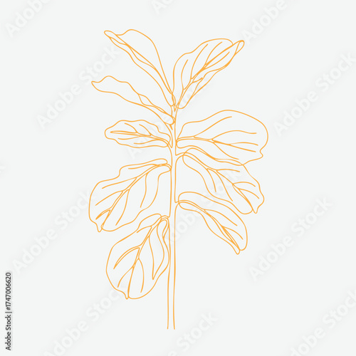 Minimalist Line Drawing of a Fiddle Leaf Fig Plant with Large, Distinctive Leaves on a Light
