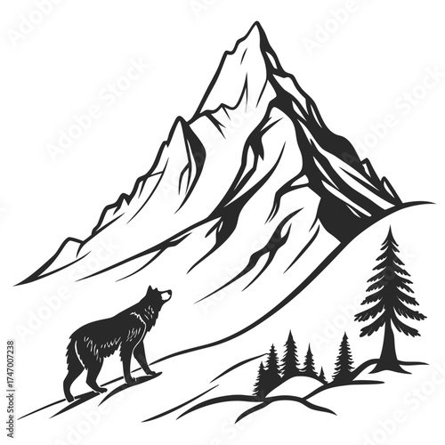 Black wolf walking in front of mountain range and pine trees