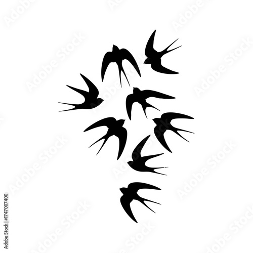 A Flock of Silhouetted Swallows in Flight.