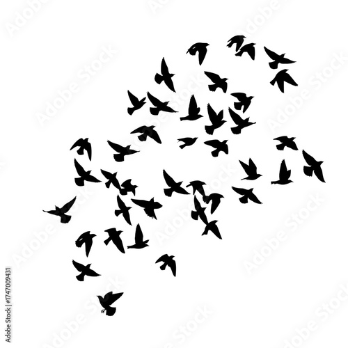 A large flock of black bird silhouettes flying together.