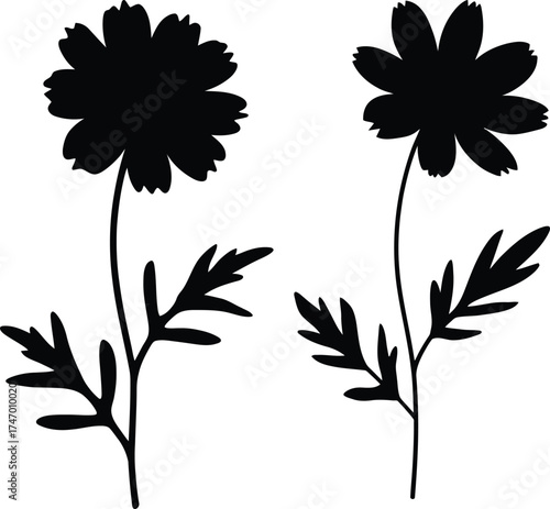 Two silhouetted black flowers with delicate stems and leaves on white