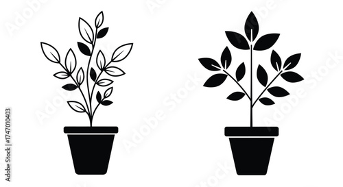 Two potted plant illustrations in black and white simple graphic style