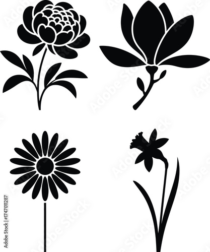 Four stylized black flower silhouettes including peony magnolia daisy and daffodil