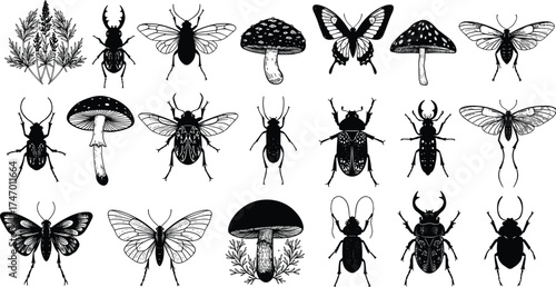 Mushroom insect butterfly illustration, black and white botanical grid, vintage nature drawing, entomology fungi sketch, scientific clipart set