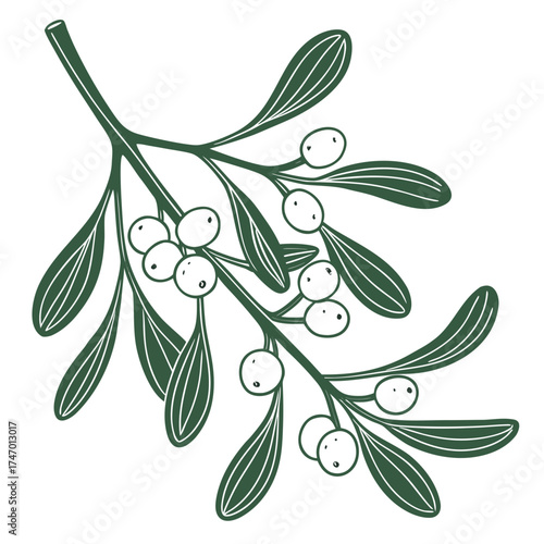Dark green mistletoe branch with white berries icon