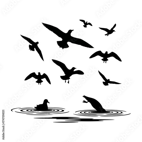 Collection of bird silhouettes with flying seagulls and swimming ducks.