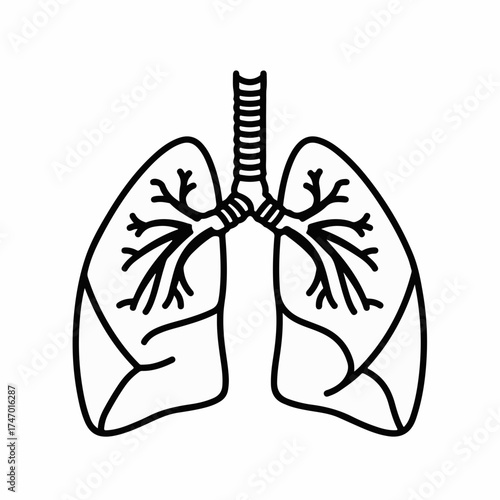 Simple outline illustration of human lungs and trachea, representing respiratory health and anatomy.