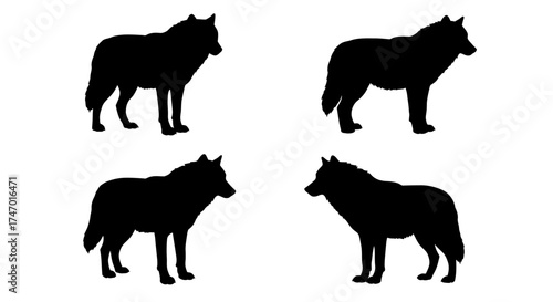 Four silhouettes of wolves in different poses against a white background