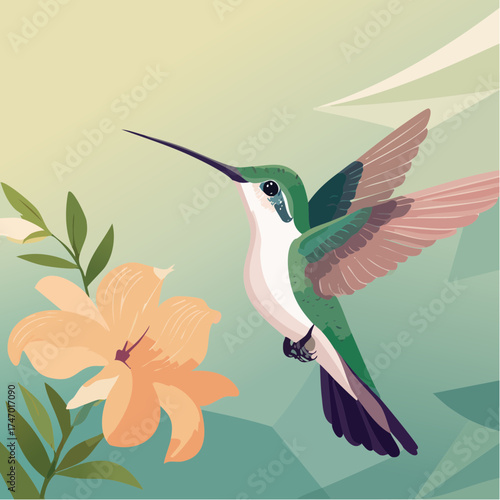 Hummingbird hovering near flower with transparent background