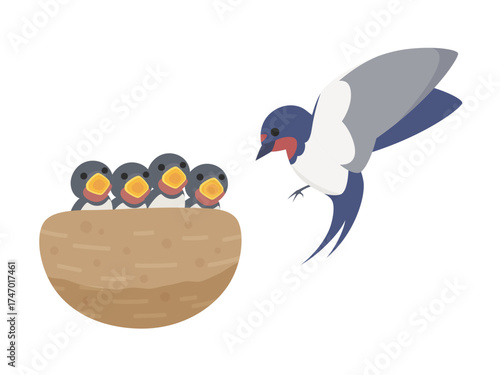 雛に餌をあげようとしているツバメのイラスト