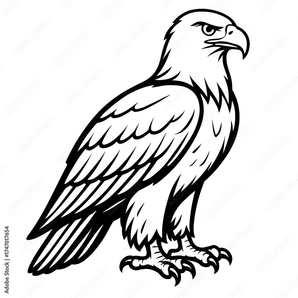 Fototapeta premium Eagle illustration in black and white line art style 