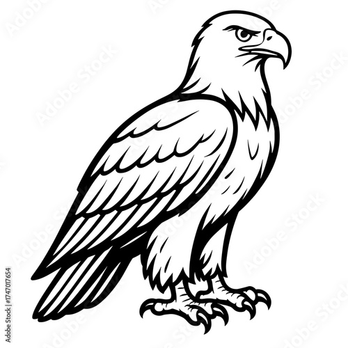 Eagle illustration in black and white line art style  