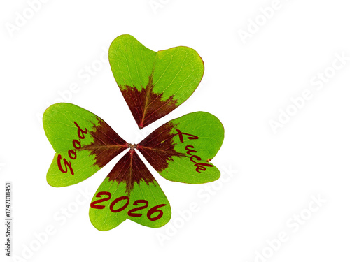 Glücksklee mit der Aufschrift Good luck 2026 vor weißem Hintergrund