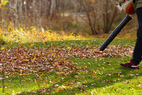 Man cleaning fallen autumn leaves from green lawn with a leaf blower. Seasonal garden work in sunny weather, concept of yard maintenance and outdoor activity.